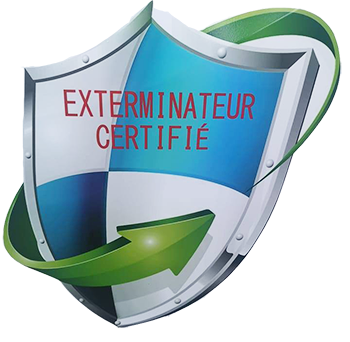 Extermination Auger & Saputo
